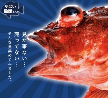 「やばい魚やさん様」Webサイトリニューアル